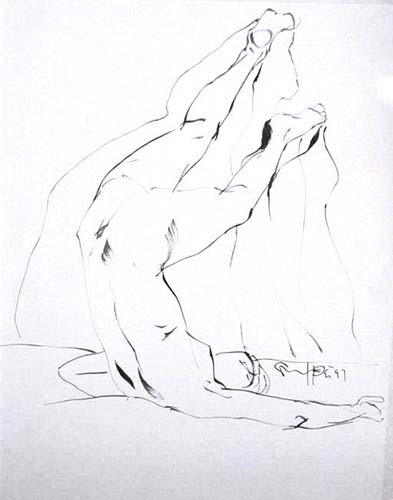 shel01