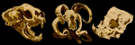 Powered by Laughing Squid