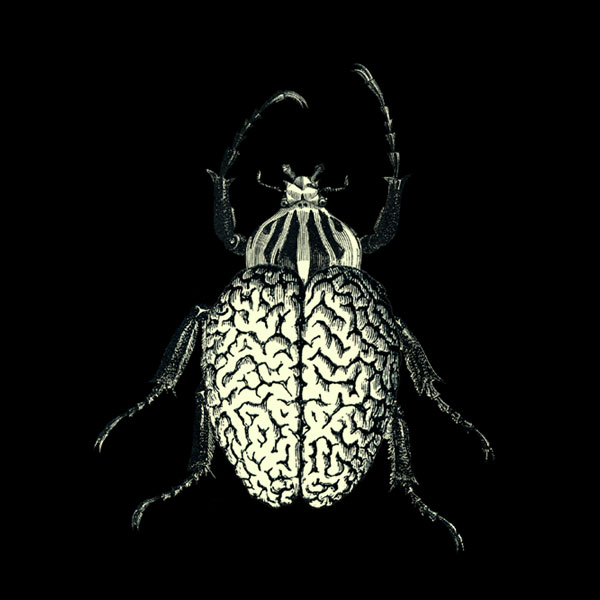 brainbug