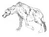 hyena