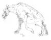 hyena2