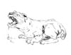 orc-dog