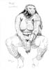 orc-f06