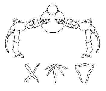 glyph06