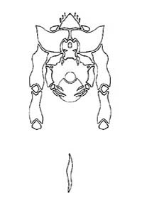 glyph07