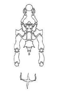 glyph08