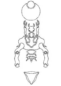 glyph10