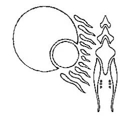 glyph14